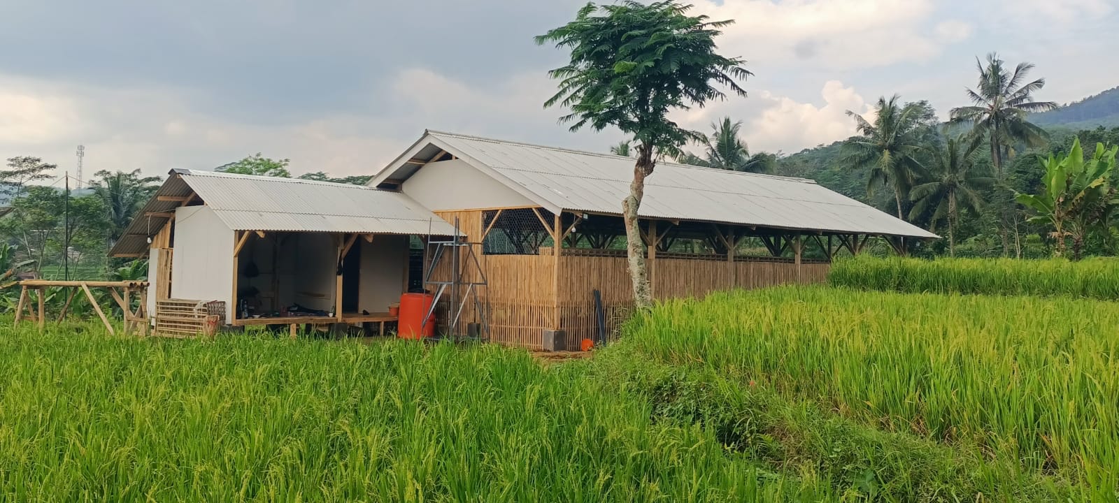 Kegiatan BUMDes